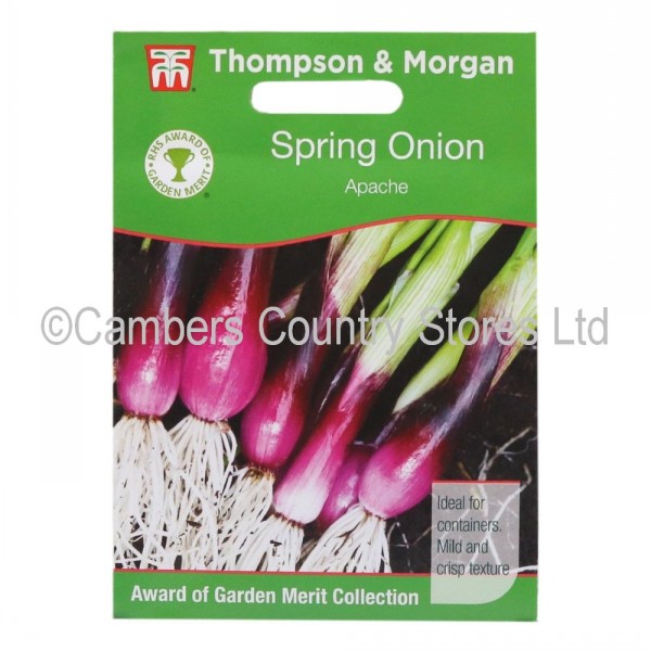 Thompson & Spring Onion Apache Cambers Country Store